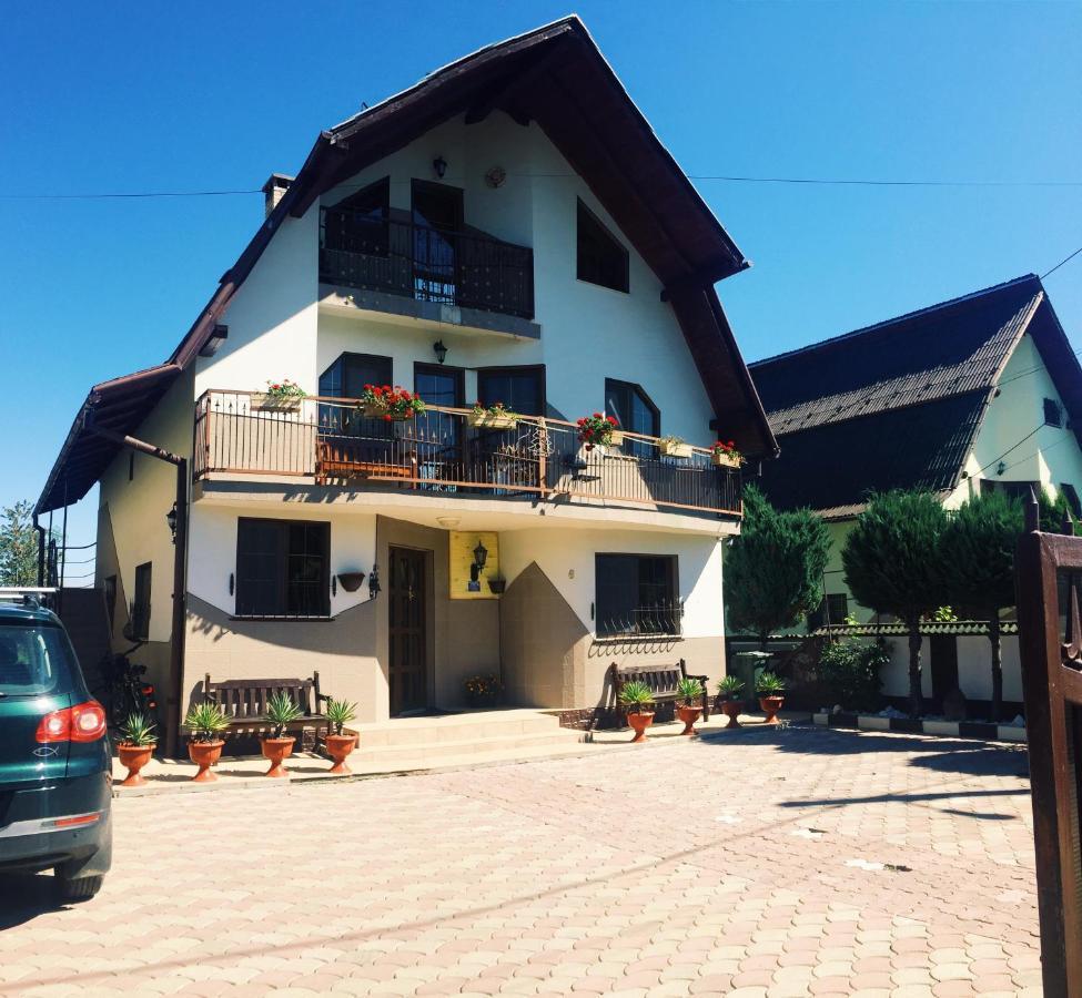 Casa Alberta Ocna Sugatag Exterior photo